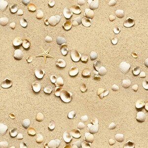 May include: A close-up of a sandy beach with a variety of seashells scattered across the surface. The shells are a mix of white, beige, and brown, and some have a pearlescent sheen. A single starfish is visible in the center of the image.