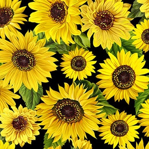 Kanvas Fabric Sunflower Sunrise Fabric Collection