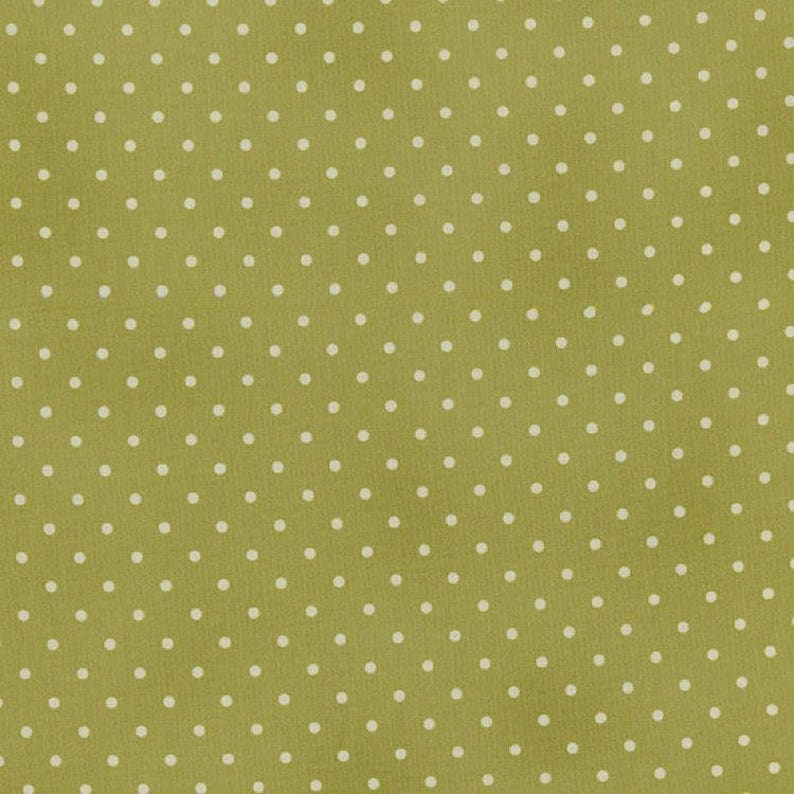 RJR fabric Robyn Pandolph Home Essential