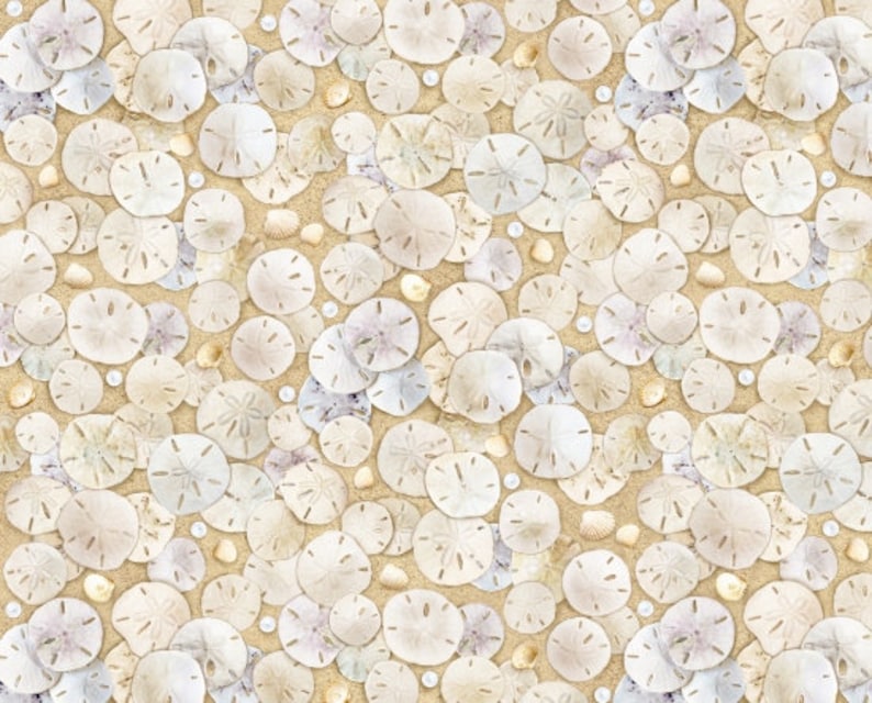 May include: A seamless pattern of white sand dollars on a beige background. The sand dollars are arranged in a random pattern, with some overlapping.