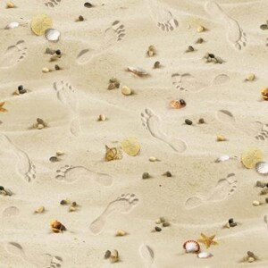 May include: A close-up of a sandy beach with many footprints in the sand. There are also seashells and other beach debris scattered throughout the image.