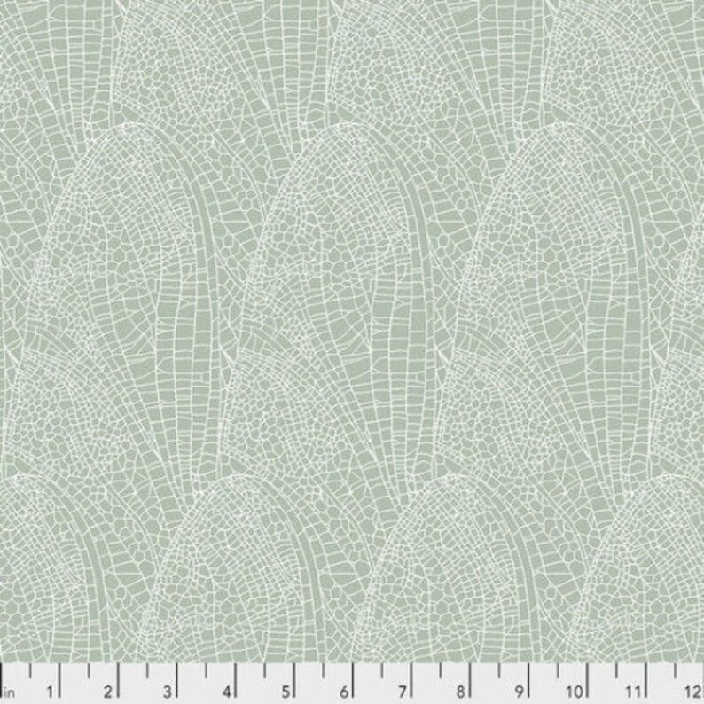 Free Spirit Fabrics Shell Rummel Lt Green Collection Delicate Wing