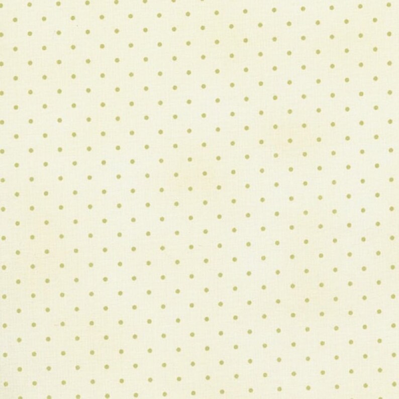 RJR fabric Robyn Pandolph Home Essential
