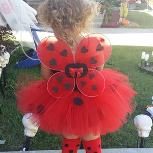 Complete Ladybug Tutu Dress Headband Wings & Legwarmers Costume ,photo prop,Birthday, smash cake outfit, infant, toddler