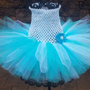 Turquesa aqua & vestido de tutú blanco, vestido de tutú congelado, vestido de tutú bebé, cumpleaños, bailarina, niña de flores, traje, bebé, bebé, niño pequeño, niña