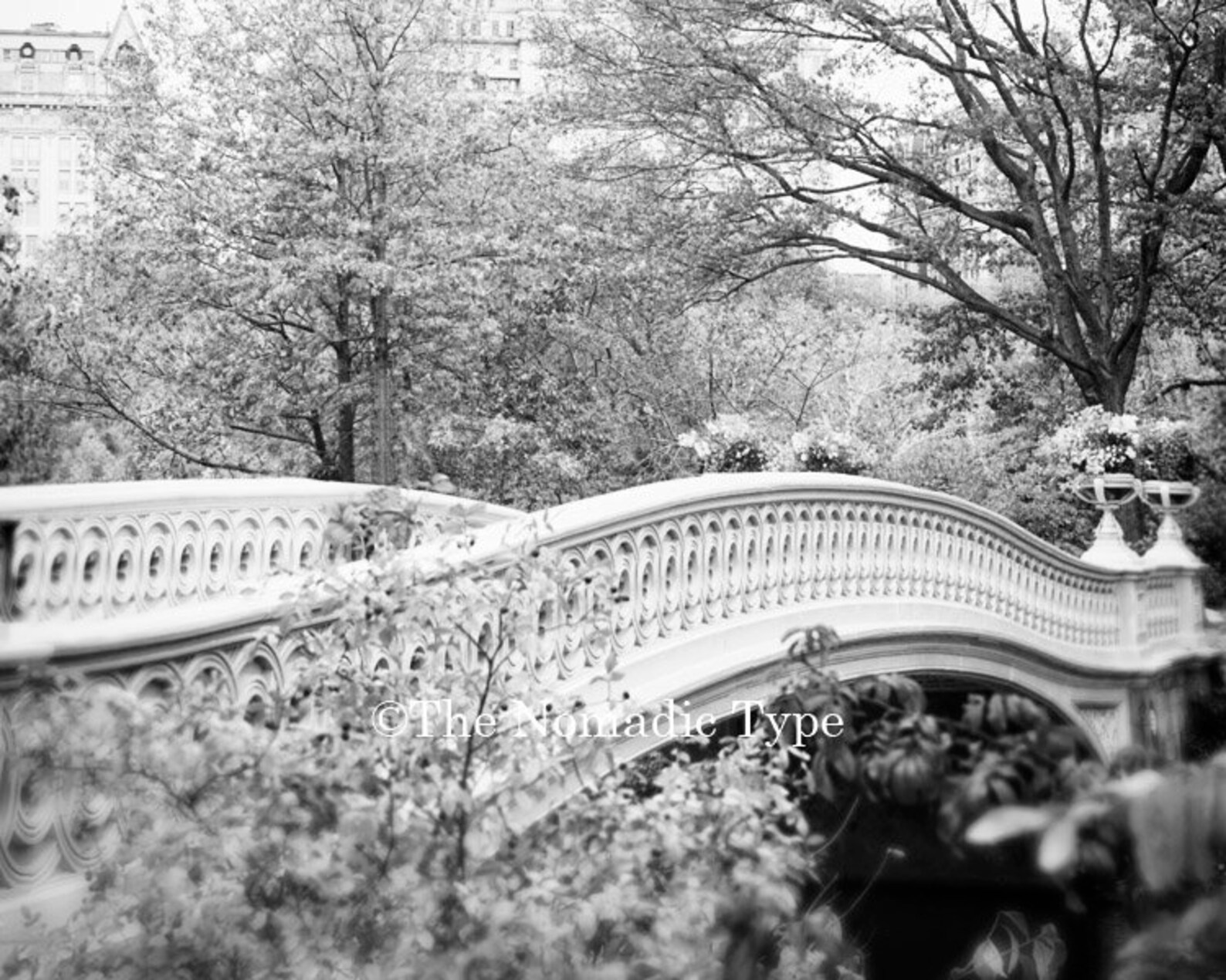 Central Park Photo, New York City Decor, Bow Bridge Print, Romantic