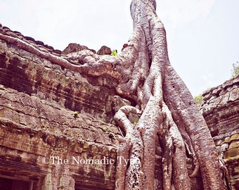 Cambodia Photography Angkor Wat Print Asia Wall Art Tomb Raider Print Ta Phrom Temple Travel photography Southeast Asia decor Nature Decor