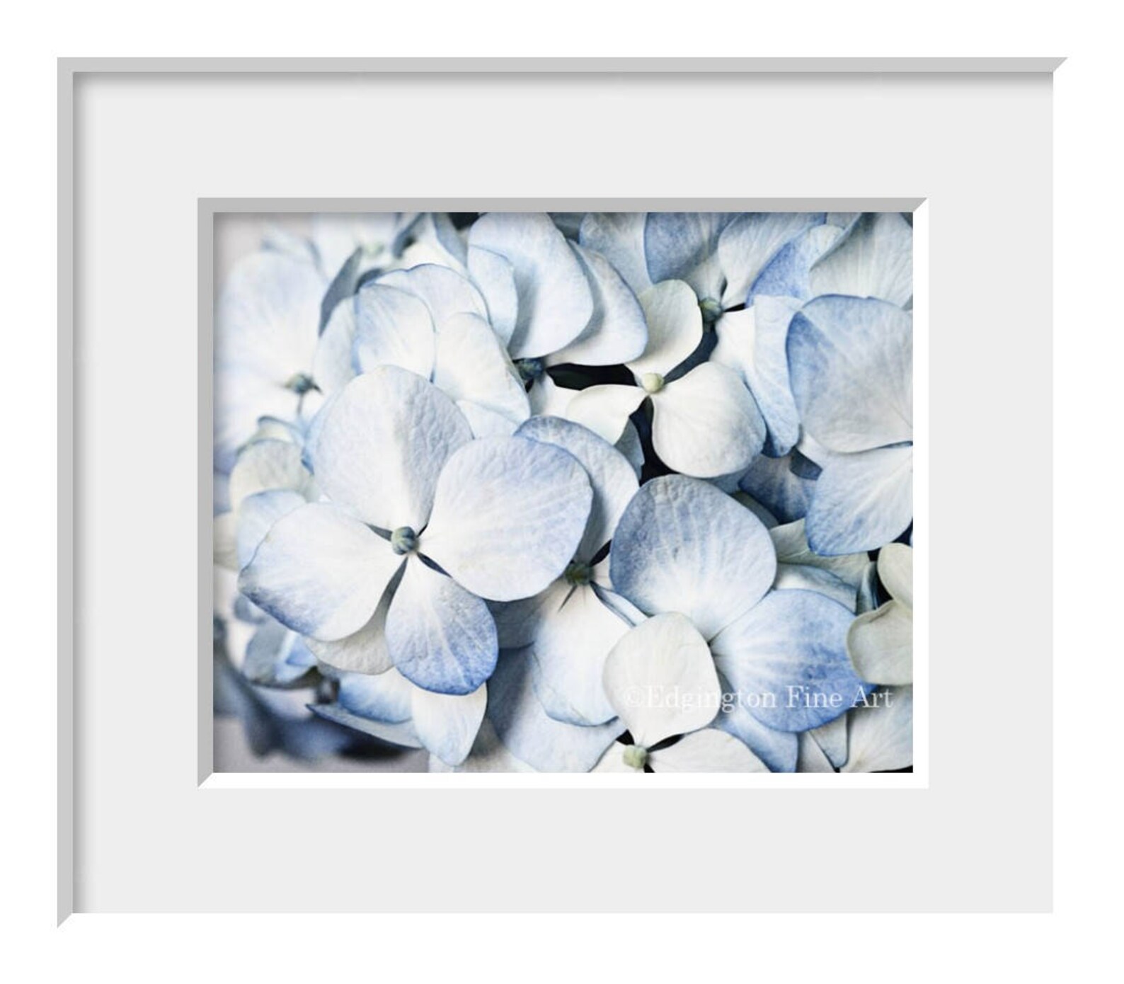 Hydrangea Print, Bathroom Decor, Hydrangea Flower, Floral Art Decor