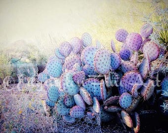 Cactus Photo, Southwestern decor, Purple wall art, Cactus print, Desert Cactus Wall Art, Cactus Photography, Southwest wall art, 8x10 print