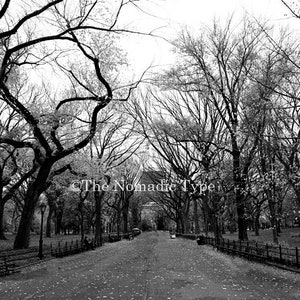 New York City Print set, Central Park Photos, Set of 9, Black and White, New York Photography, Architectural Prints, Central Park Wall Art image 6