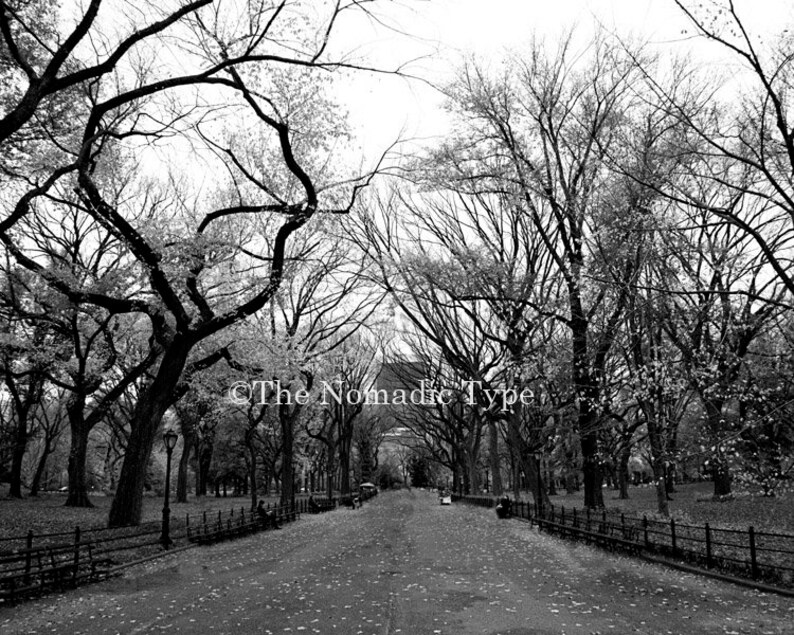 New York City Print set, Central Park Photos, Set of 9, Black and White, New York Photography, Architectural Prints, Central Park Wall Art image 6