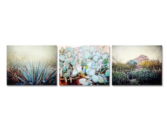 Desert Wall Art, Southwestern Decor, Cactus Wall Art, Set of 3 Cactus Prints, Green decor, Cactus Photography, Nature Landscape, Cactus Art