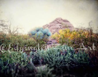 Desert Wall Art, Cactus Landscape Photo, Arizona Nature Print, Desert Cactus Photo, Desert Decor, Nature Home Decor, Southwestern Wall Art