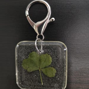 Four leaf clover