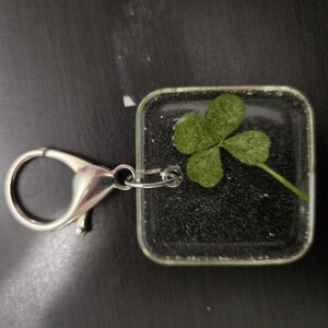 Four leaf clover