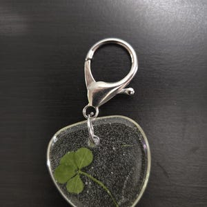 Four leaf clover