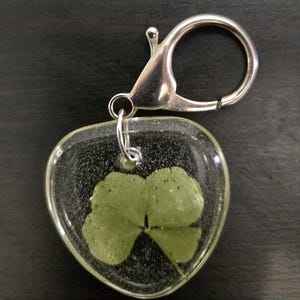Four leaf clover