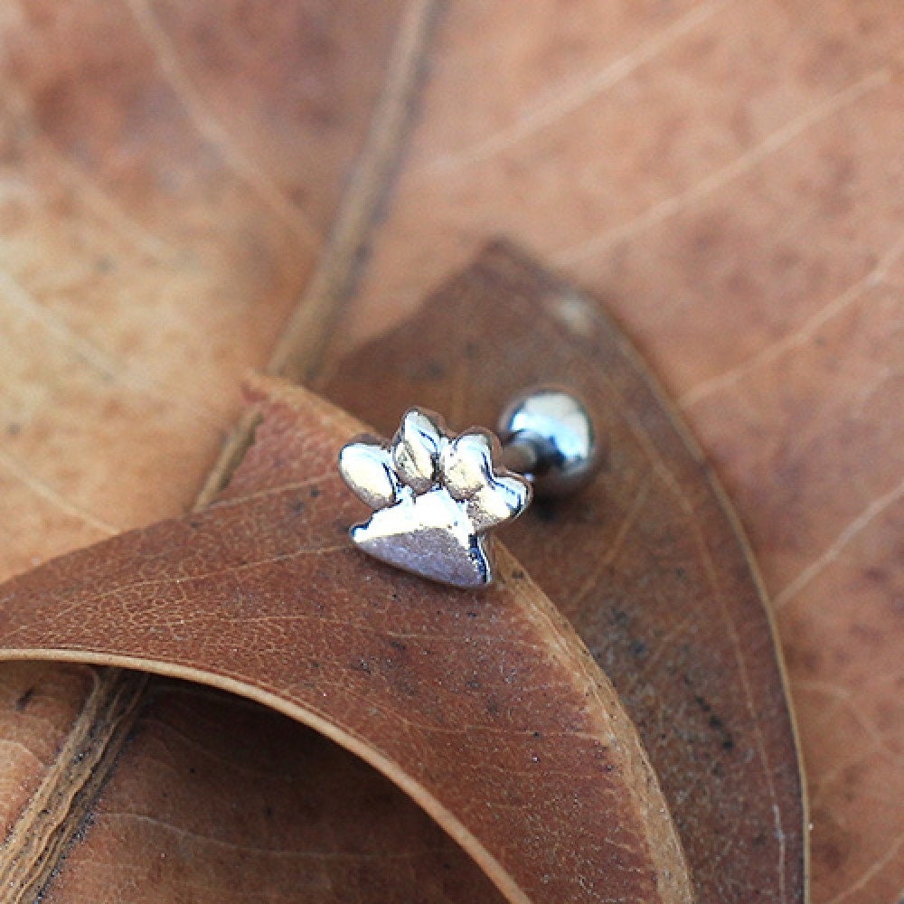 Paw print top tragus earring