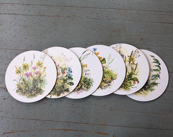Vintage floral botanical art hotplate set