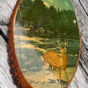 May include: Oval wooden plaque with a printed image of a deer standing near a river. The background features a forest and sky. The plaque has a natural bark edge and is displayed on a weathered wooden surface.