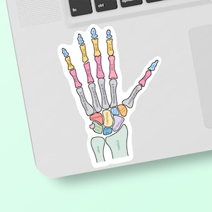 3.5” Hand Bones Vinyl Sticker | Occupational Therapy | Physical Therapy | Medical Student | Nursing Student