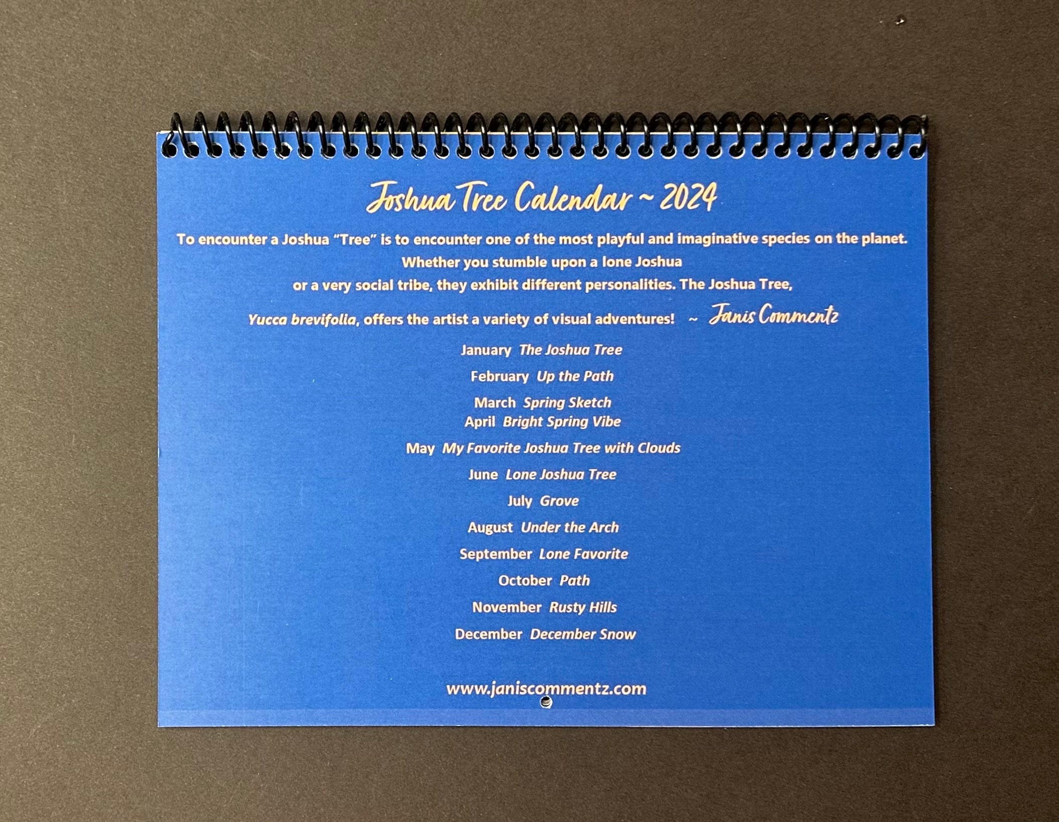 Joshua Tree Calendar 2024 Etsy
