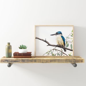 Sacred Kingfisher print, Australian bird art print, artwork of native Australian wildlife.