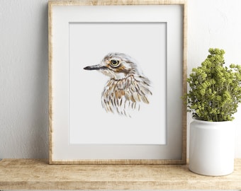 Könnte beinhalten: Ein Aquarellbild eines Vogelkopfes mit braunen und weißen Federn. Der Vogel hat ein gelbes Auge und einen langen, dünnen Schnabel. Das Bild ist in einem einfachen Holzrahmen gerahmt.