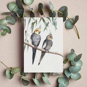 Cockatiel Greeting Card - Australian Bird Card