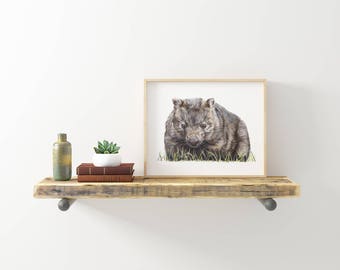 Wombat Print 8x10 - Australian Animal Print - Australian Wildlife Art