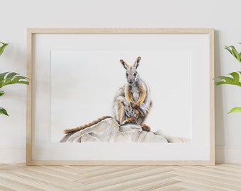 Rock Wallaby & Joey, Australian Kangaroo Print