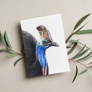 Cassowary - Blank Greeting Card, Australian Greeting Cards, Australian, Bird, Cards, 5x7"