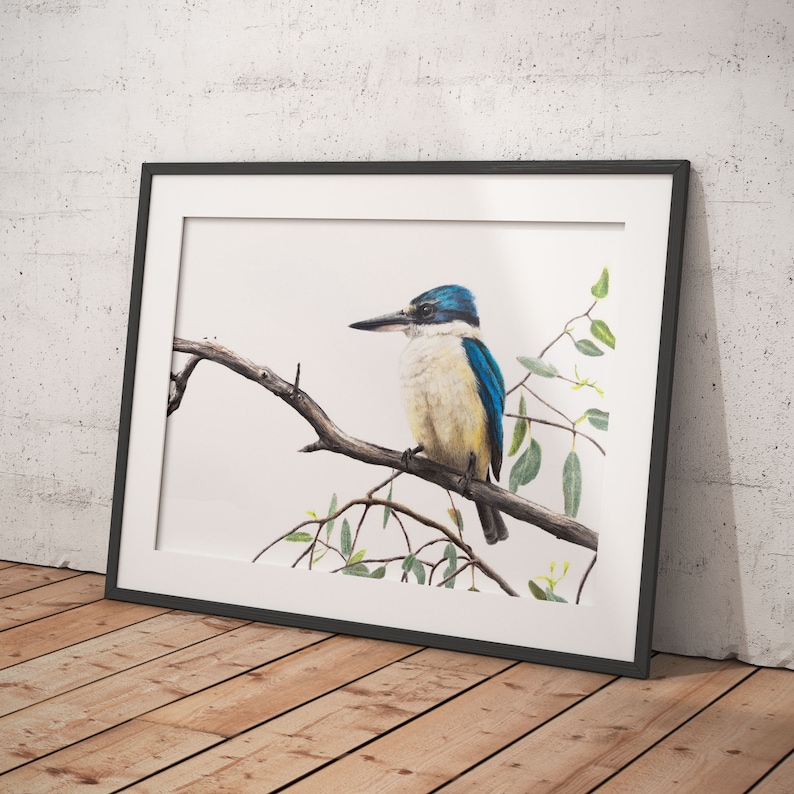 A3 Sacred Kingfisher print, Australian bird art print, artwork of native Australian wildlife.