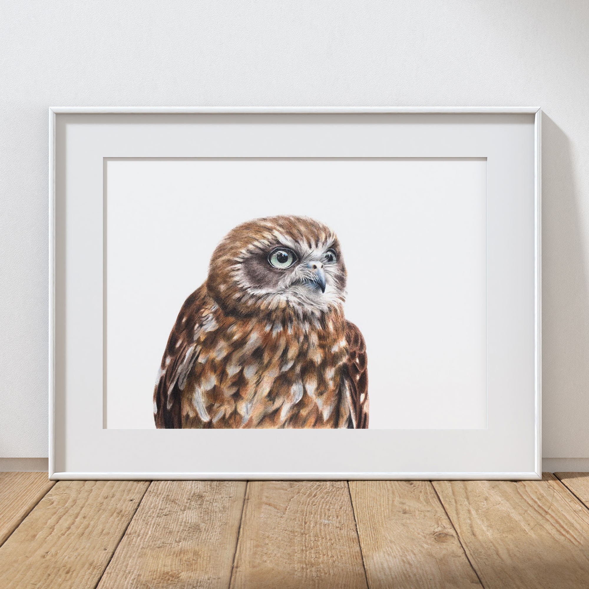 Boobook Owl Art Print: Australian Wildlife Giclée Print