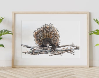Echidna Giclée Print – Australian Native Animal Wall Art (Signed)
