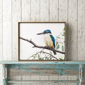 Kingfisher art print, Australian bird art print, artwork of native Australian wildlife.