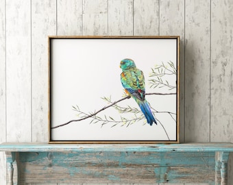 May include: A framed print of a green and blue parrot perched on a branch with white flowers. The parrot has a red breast and a long tail. The background is a white wall.