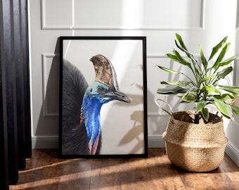 Cassowary Print, Australian Native Bird Art