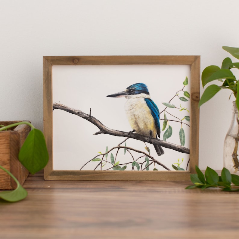 Sacred Kingfisher art print, Australian bird art print, artwork of native Australian wildlife.