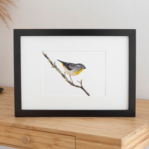 手描きのピンクのモモイロインコの絵のプリント。オーストラリア原産の