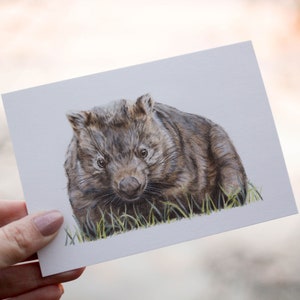 Wombat Greeting Card - Australian Animal Cards