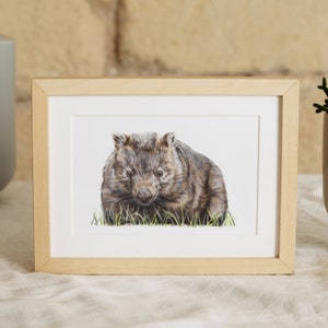 Lámina artística de wombat: Impresión giclée de alta calidad sobre fauna australiana