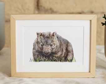 Wombat Print - Australian Animal Print - Australian Native Wildlife Art