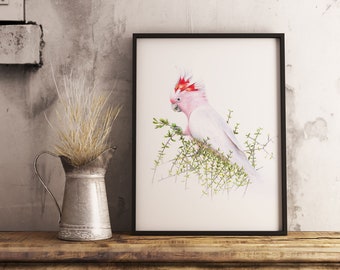 Könnte beinhalten: Ein Aquarellbild eines rosa und weißen Kakadus, der auf einem Zweig mit grünen Blättern sitzt. Der Vogel hat einen roten Kamm und schaut nach links. Das Bild ist in einem schwarzen Rahmen gerahmt.