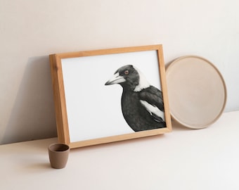 Australian Magpie Art Print: Giclée Fine Art Bird Drawing