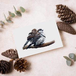 Double-barred Finches - Australian Greeting Card