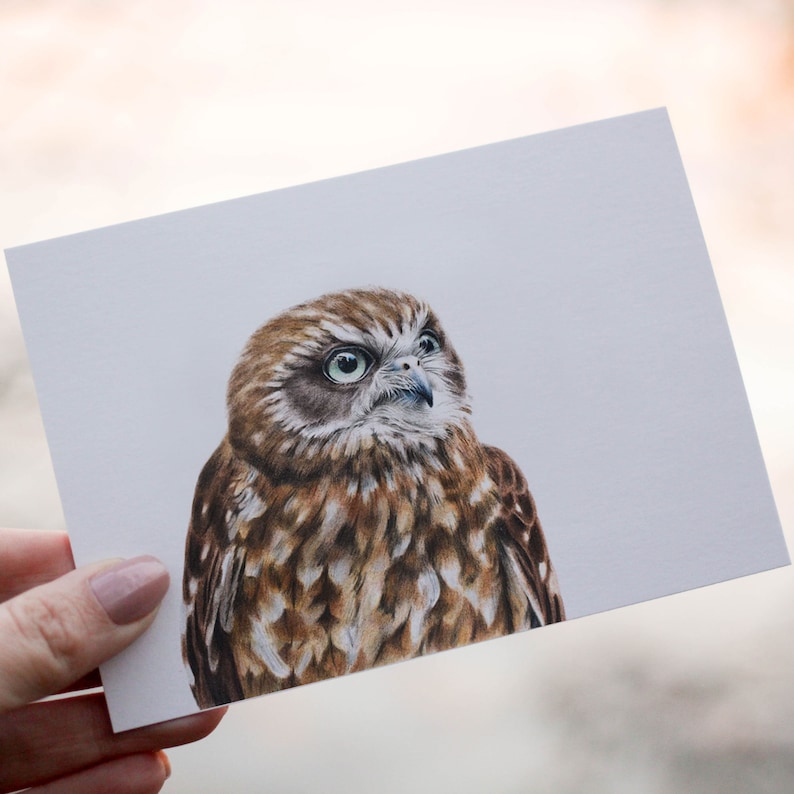 Boobook Owl Australian Greeting Card, Australian, Bird, Cards, 5x7 image 1