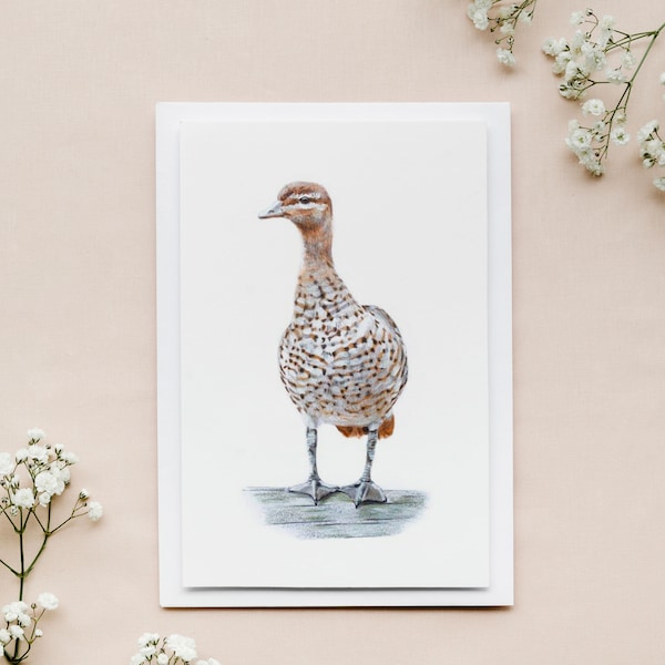 Australian Wood Duck, Blank Greeting Card, Australian, Bird, Cards, 5x7"