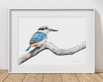 Kingfisher Print - Red-backed Kingfisher Print - Australian Bird Art Print