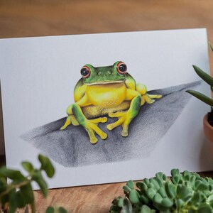 Red-eyed Tree Frog - Blank Greeting Card, Australian, Animals, Cards, 5x7"